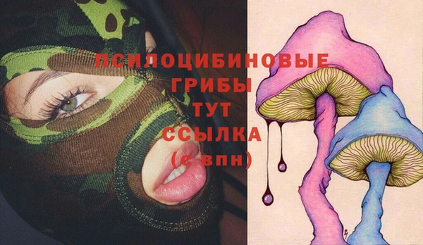 spice Верея