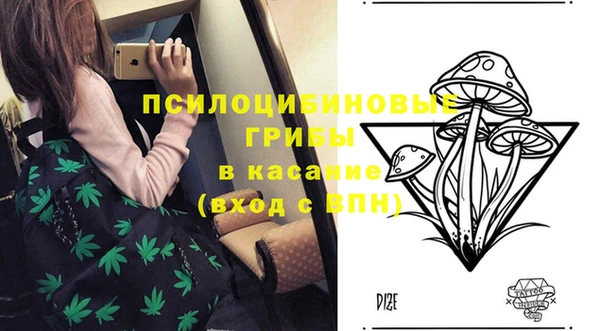 бутират Верхний Тагил